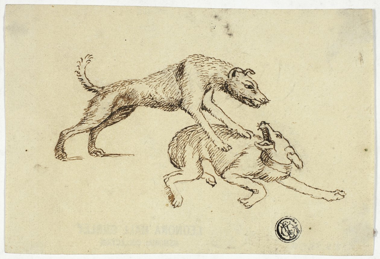 闘う2匹の犬 作： 無名の画家