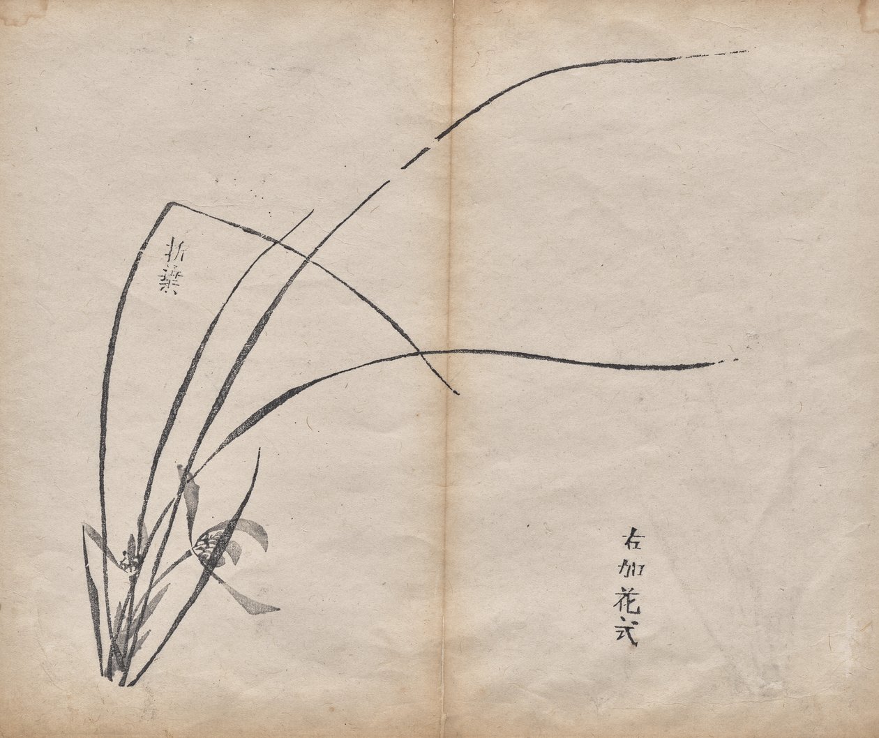 無題 作： 無名の画家