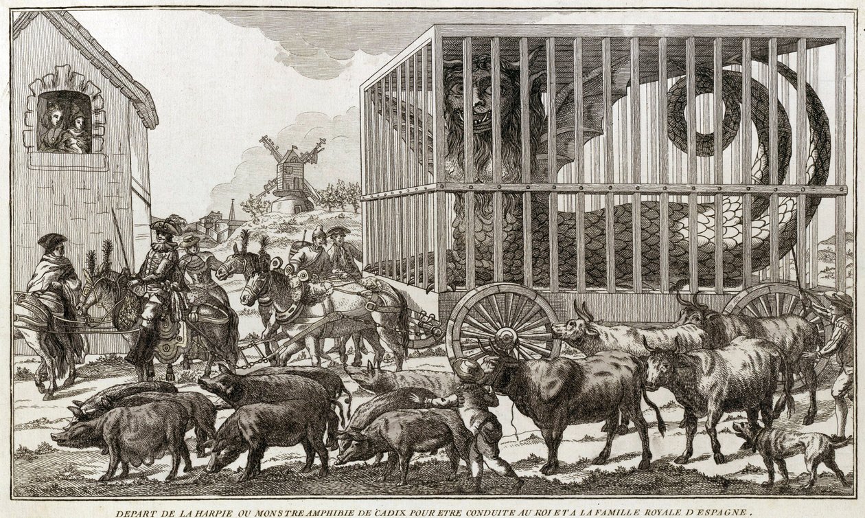 Zoomorphism - Caricature against Mary - Antoinette - スペインの王と王室に連れて行くために、カディスのハーピーまたは水陸両用の怪物から出発した。この動物はファグア湖畔で捕獲された - 1784年 - 。 作： 無名の画家