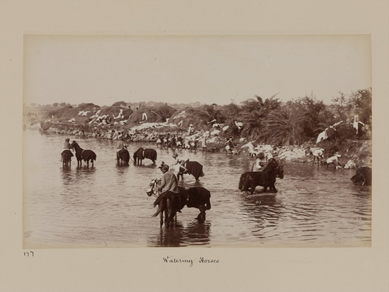 演習のデリー・キャンプで馬に水をやるインドの騎兵たち 作： 未知の写真家