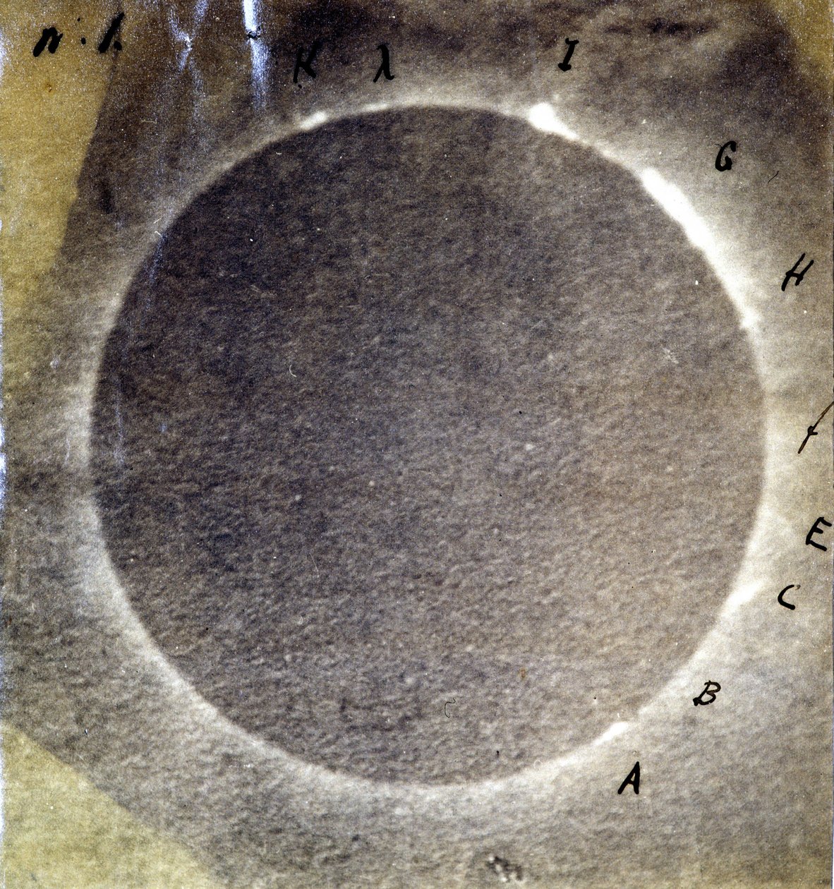 1860年7月18日の皆既日食の写真とそれに伴う光の突起の研究 作： 未知の写真家