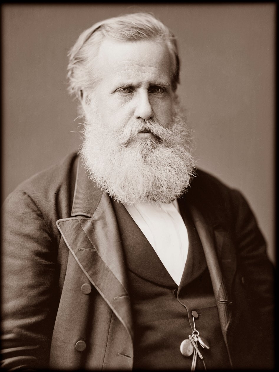 ブラジル皇帝ドム・ペドロ2世（ピーター2世）（ドン・ペドロ・デ・アルカンタラ）（1825～1891年）の肖像画 作： 未知の写真家