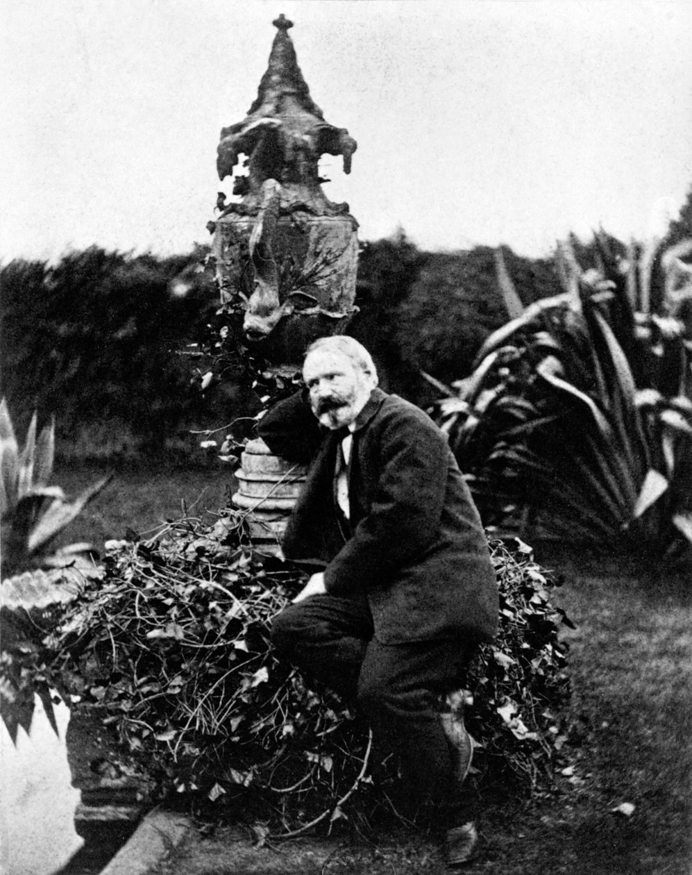 ヴィクトル・ユーゴーの肖像 作： 未知の写真家