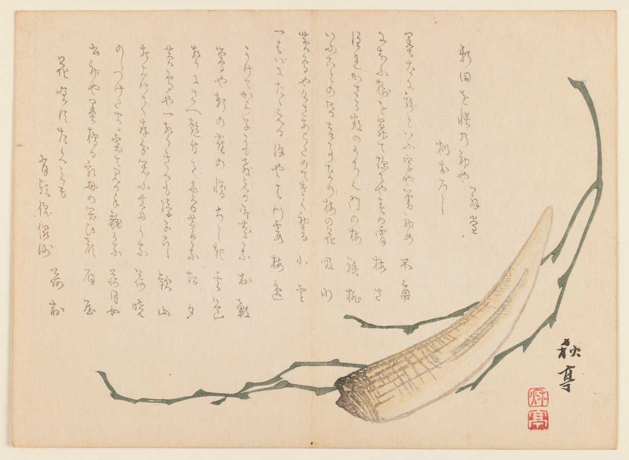 海藻と貝（木版画） 作： 浦上玉堂
