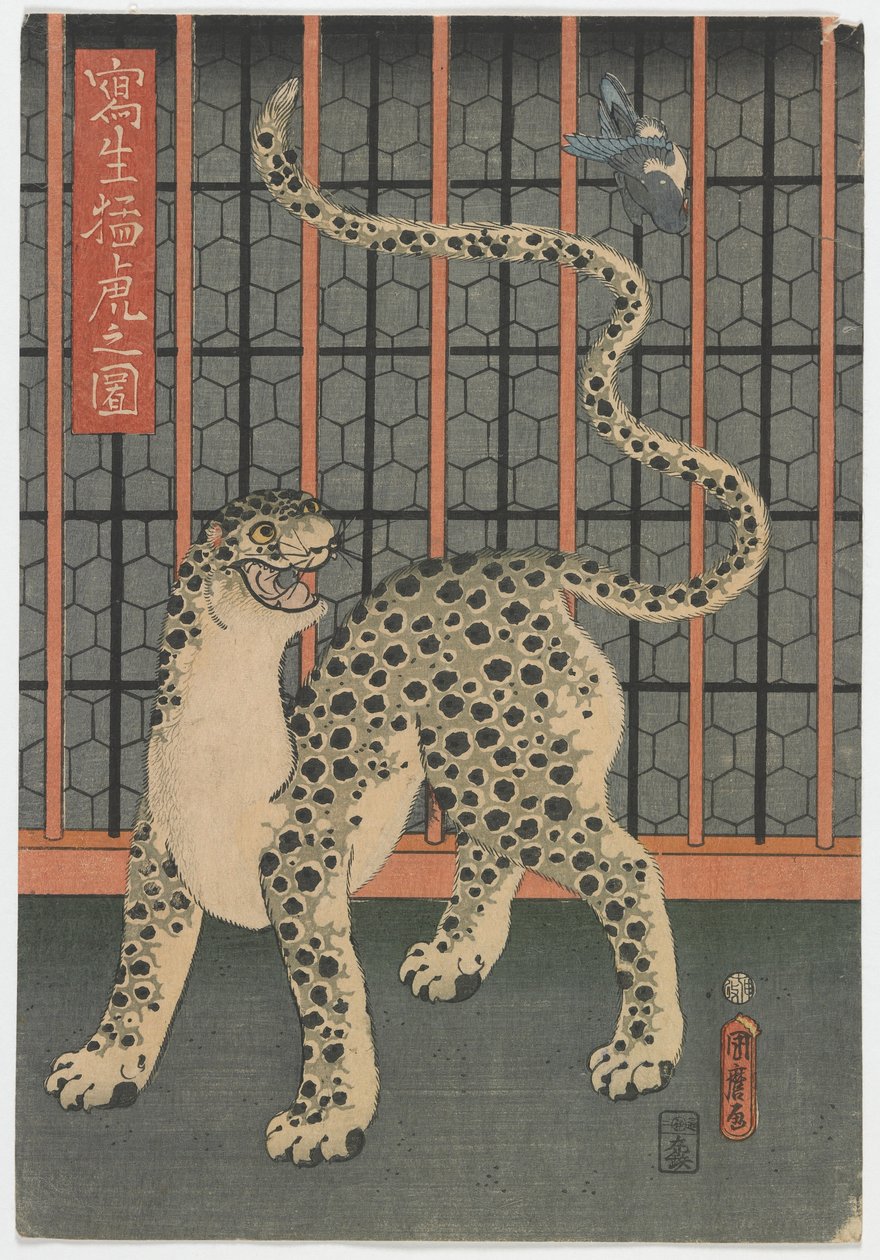 江戸時代の生涯から描かれたヒョウ、1860年（色木版画） 作： 歌川国太郎