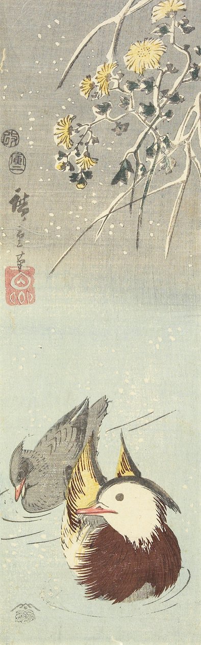 （菊と北京ダック）、1854年2月 作： 歌川広重
