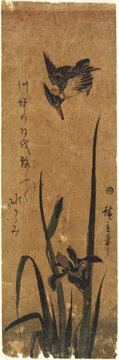 （アイリスとカワセミ）、1830-1858 作： 歌川広重