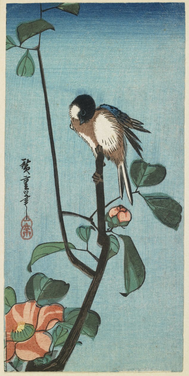 （カメリアのシジュウカラ）、1830-1858 作： 歌川広重