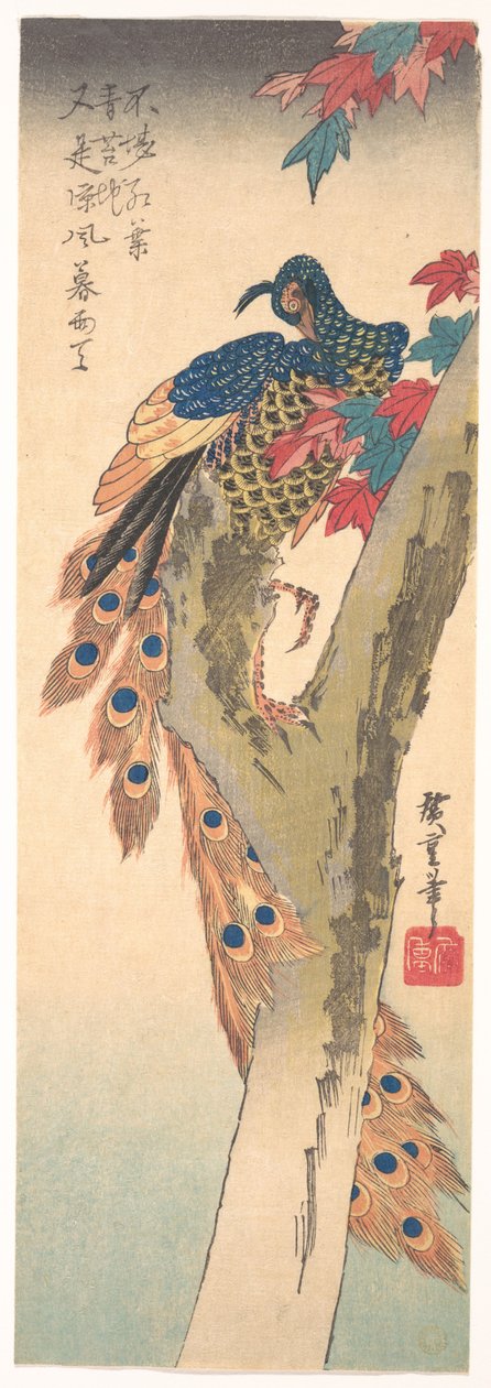 カエデの木に止まったクジャク 作： 歌川広重