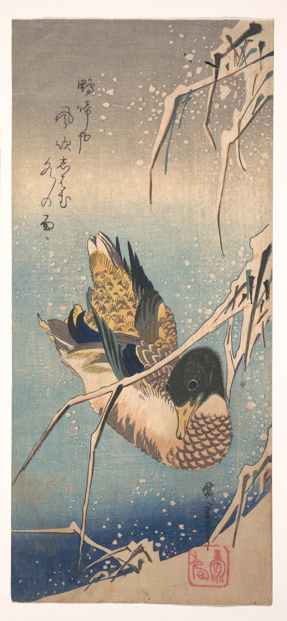 雪に覆われた岸辺のそばにいる野生のカモ 作： 歌川広重