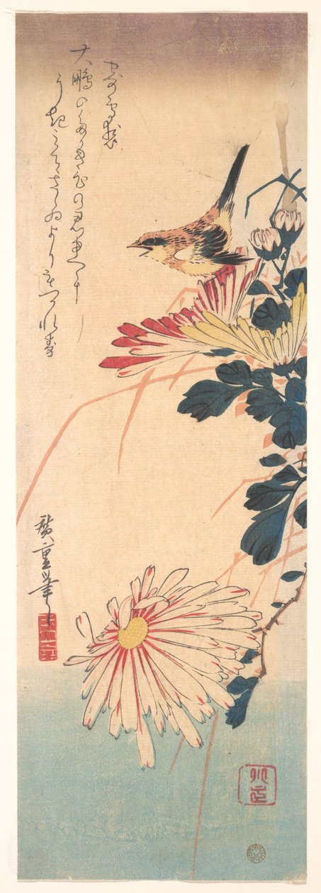 Ein Zaunkönig und Chrysanthemen 作： 歌川広重