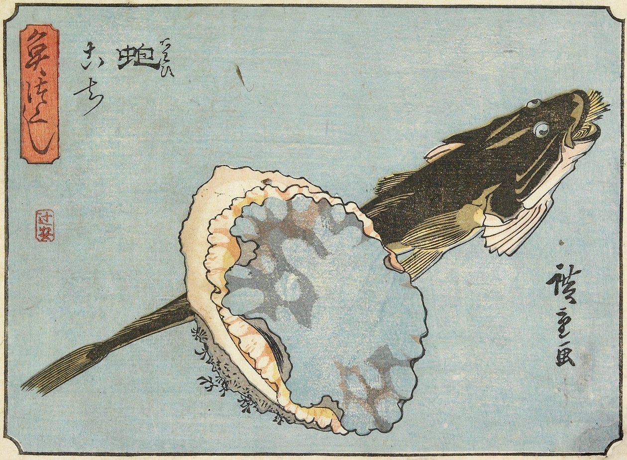 アワビとフラットヘッド、1830-1844 作： 歌川広重
