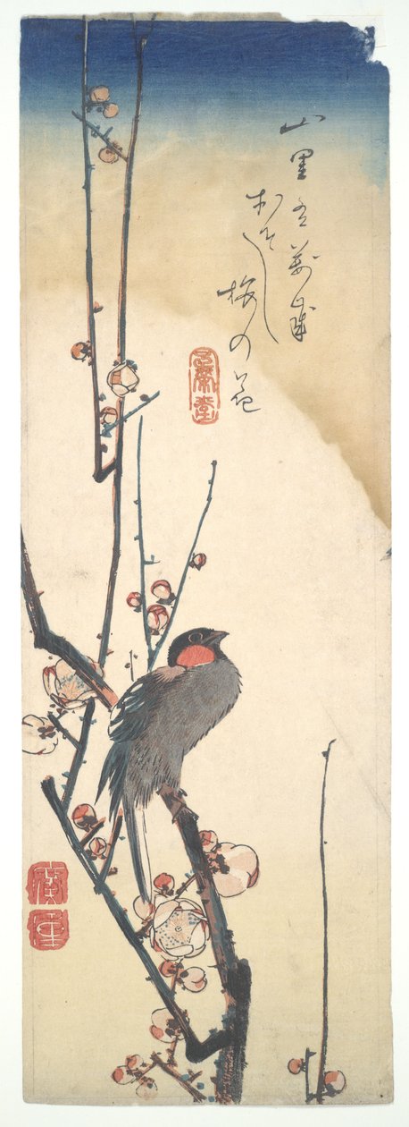 花咲く梅の木に止まる鳥 作： 歌川広重