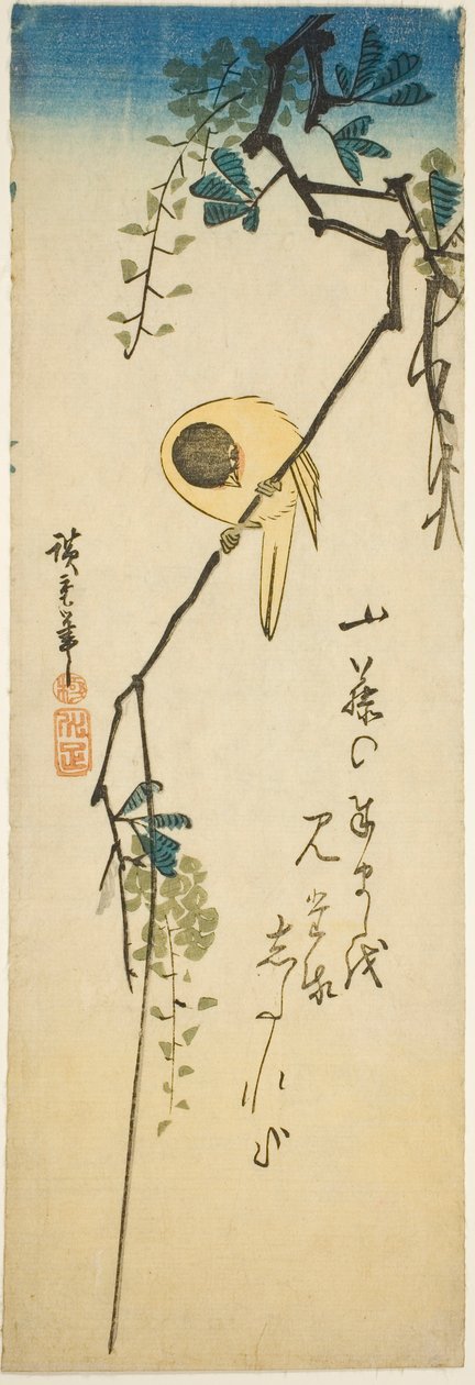 絹のような藤の鳥 作： 歌川広重