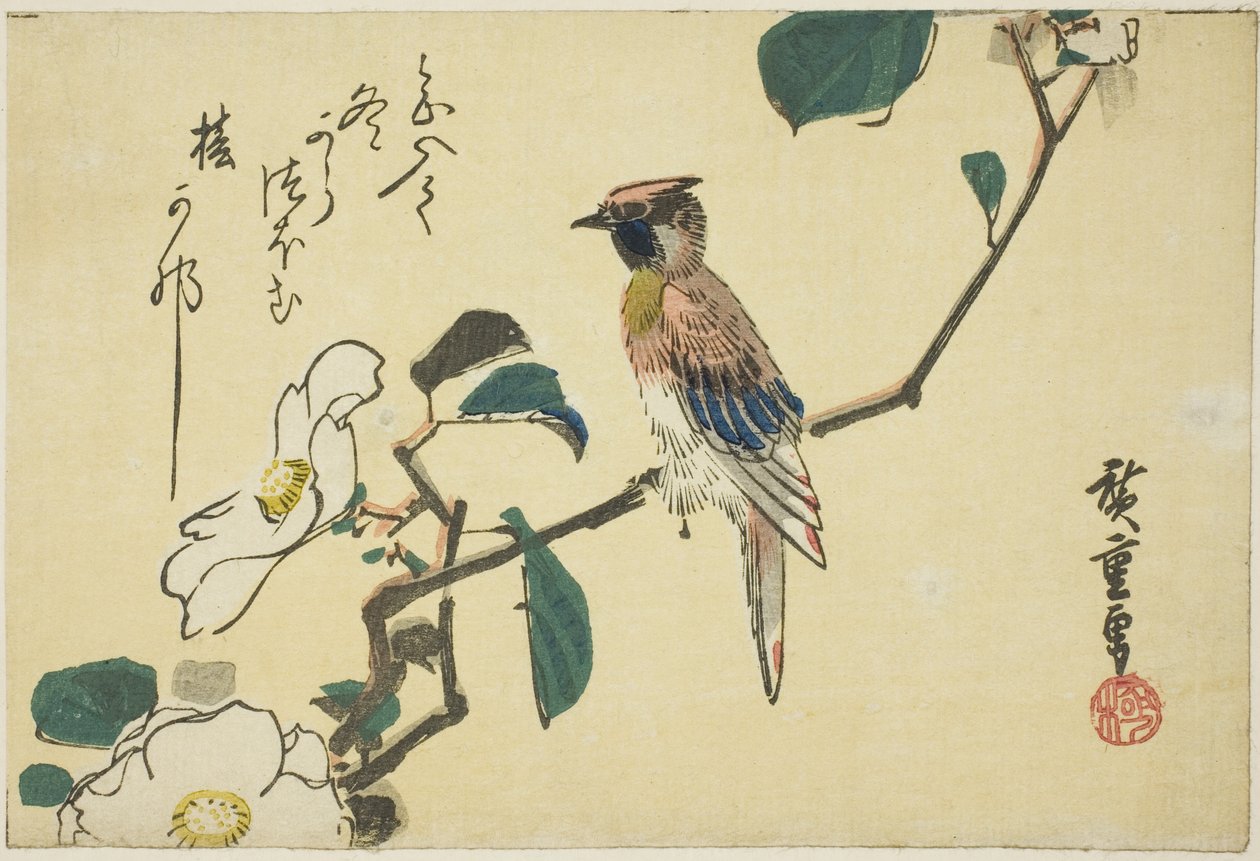 ツバキの枝にコウライウグイス 作： 歌川広重