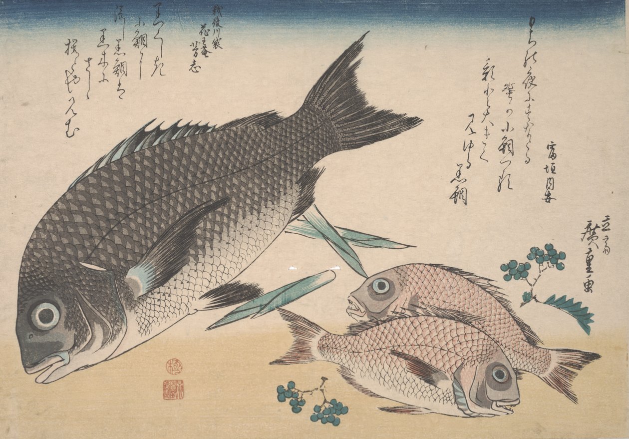 黒鯛、小鯛、アスパラガスの芽、山椒（1830年頃） 作： 歌川広重