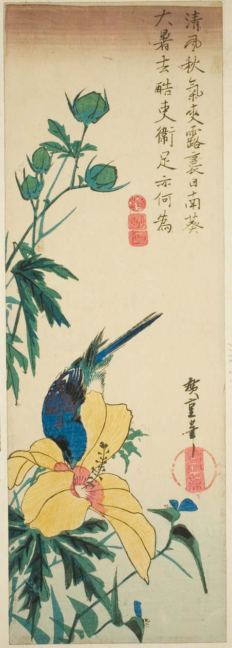 青い鳥とハイビスカス | 歌川広重