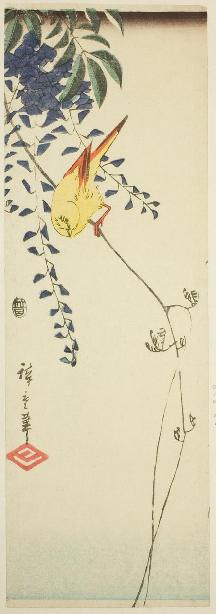 カナリアと藤 作： 歌川広重