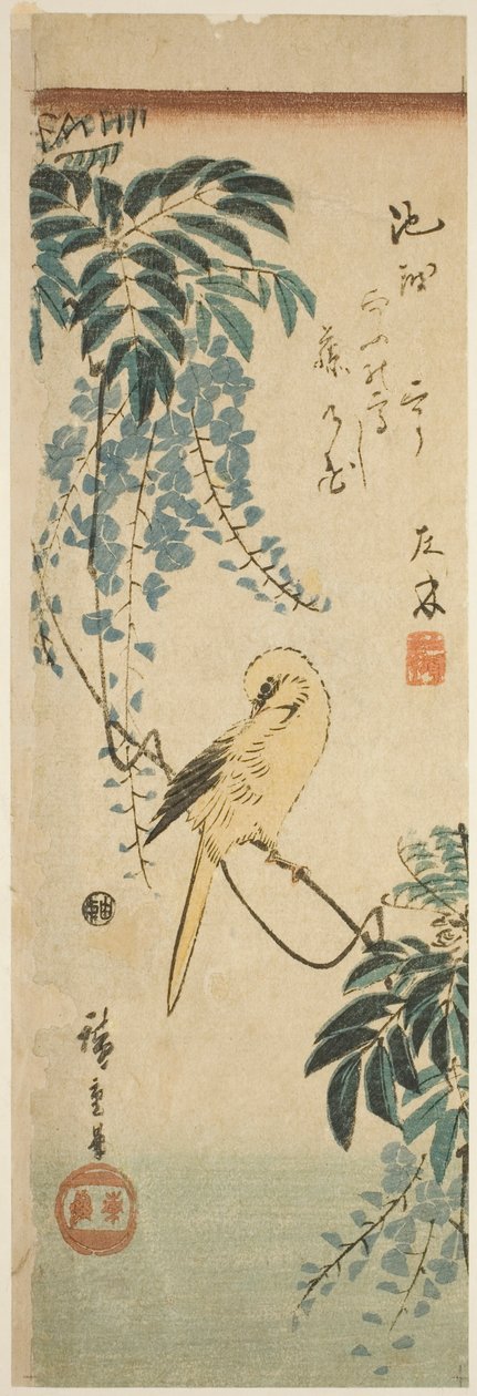 カナリアと藤 作： 歌川広重
