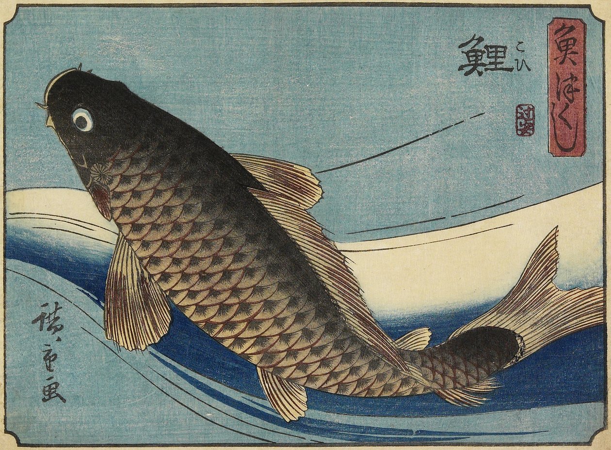 コイ、1830-1844 作： 歌川広重