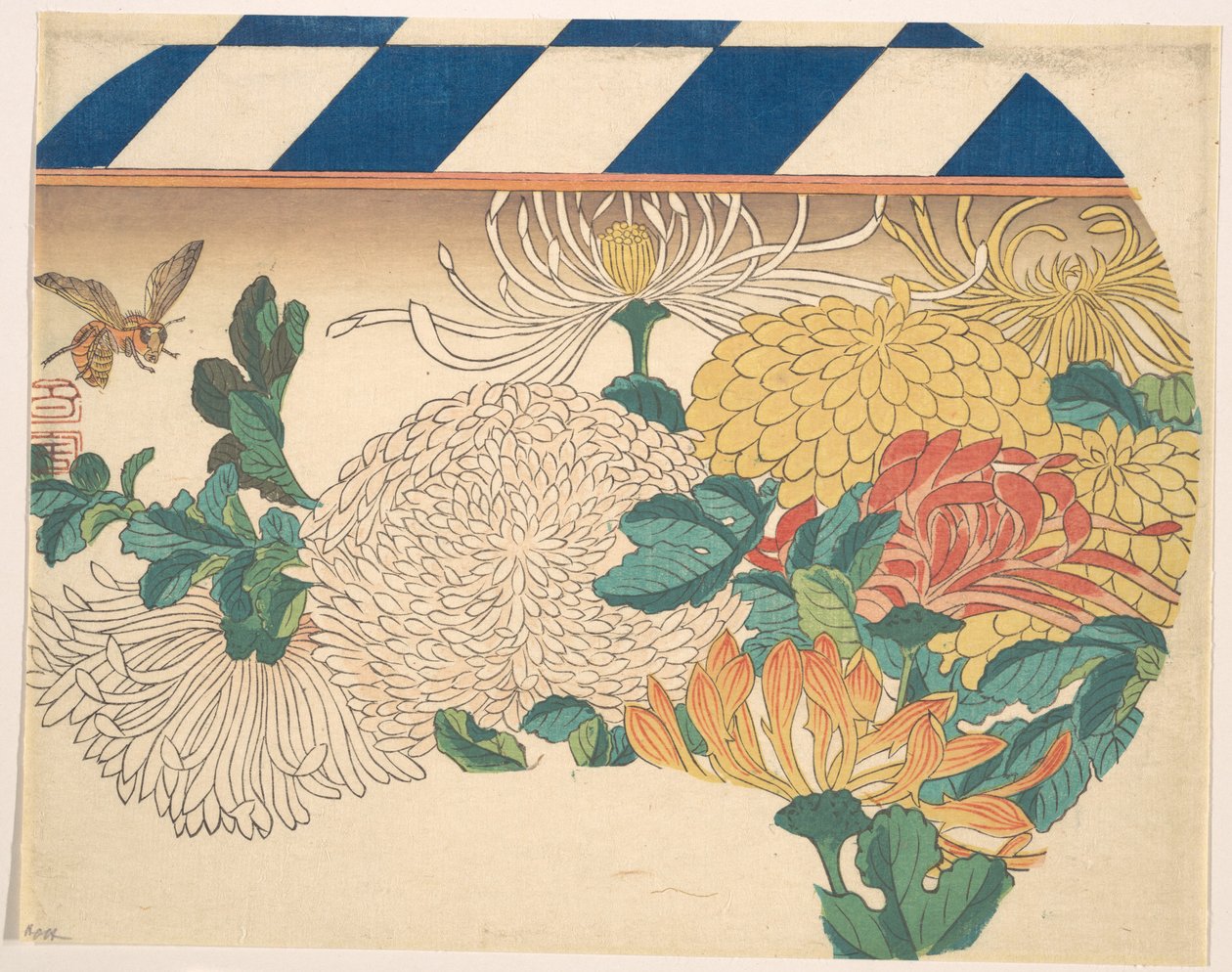 扇形のデザインを施した菊 作： 歌川広重