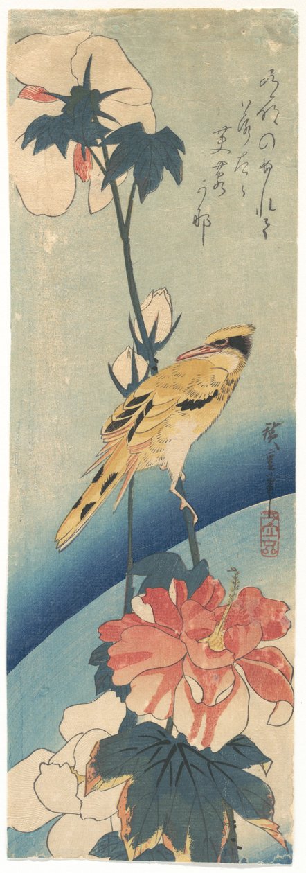 Gelber Vogel mit Haube und Hibiskus 作： 歌川広重