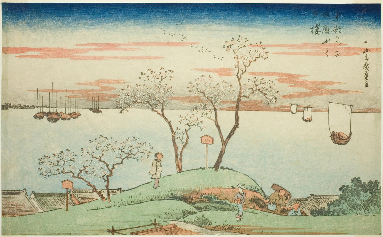 連載「東都名所図」より 御殿山の夕桜 作： 歌川広重