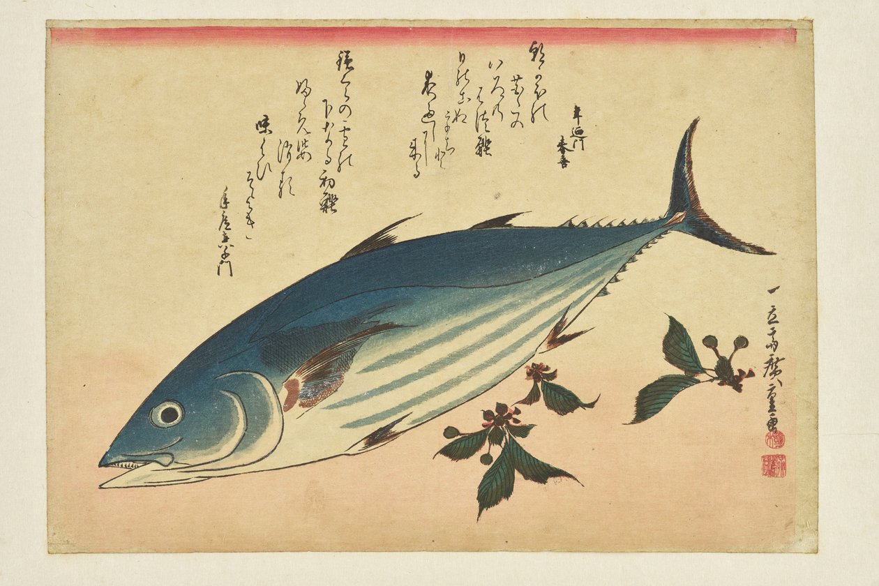 魚の版画：『魚の群れ』シリーズより「カツオと桜」 作： 歌川広重