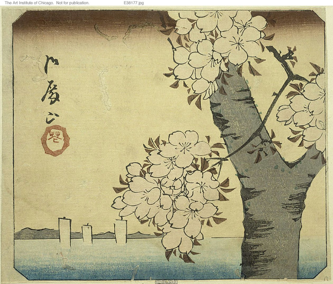 御殿の丘の花（御殿山、花）、シリーズ「名所江戸名所切絵（はりまぜことめいしょう）」の一部 作： 歌川広重