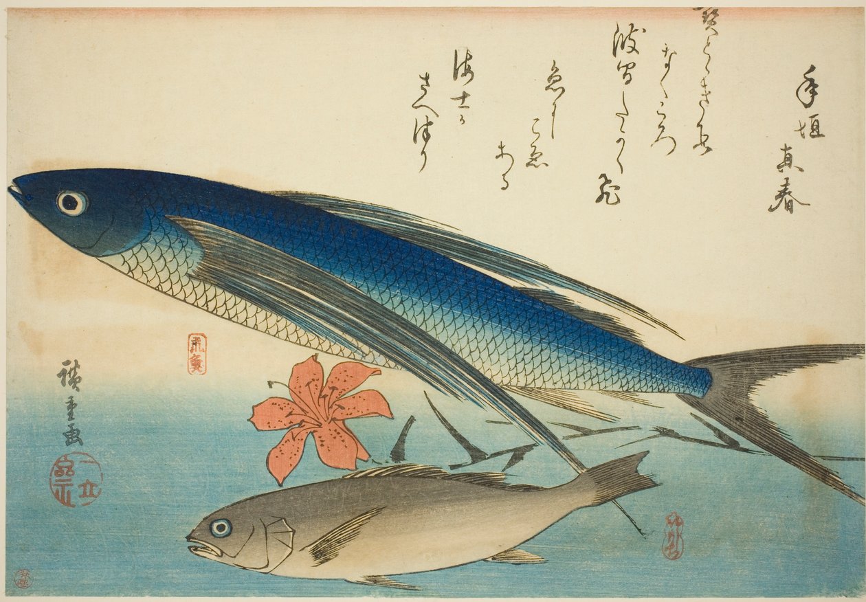 トビウオとイチモチ 無題魚シリーズより 作： 歌川広重
