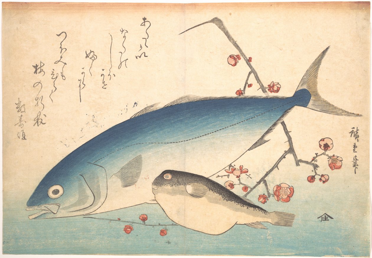 フグとイナダ、連作「魚づくし（あらゆる種類の魚）」より 作： 歌川広重