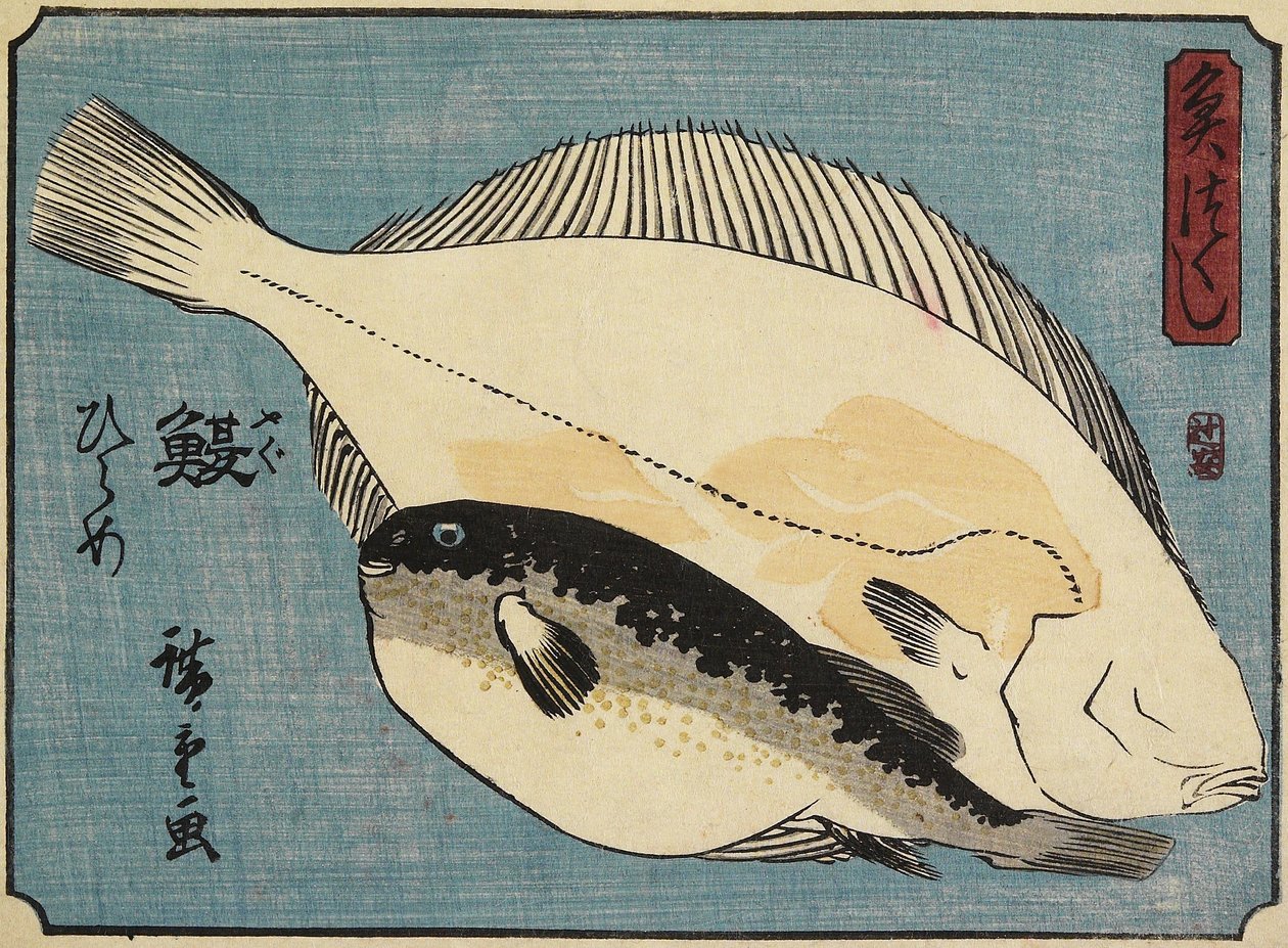 ふぐとヒラメ、1830-1844 作： 歌川広重
