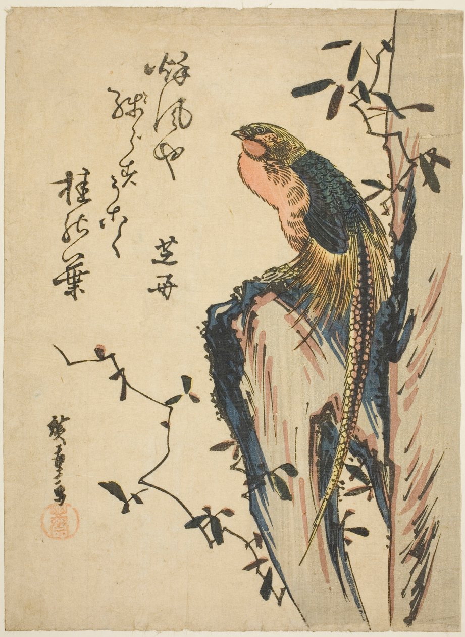 金キジ 作： 歌川広重