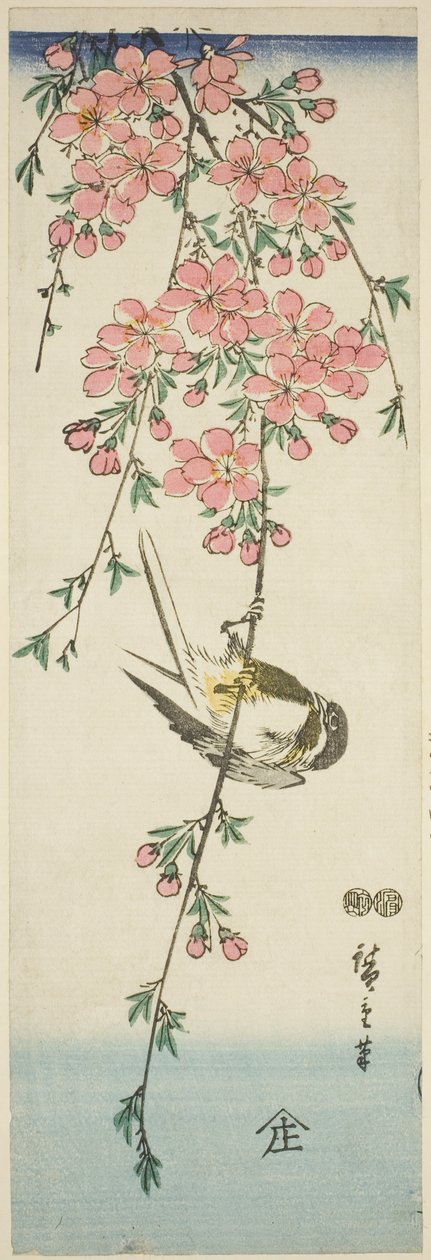 シジュウカラと桜 作： 歌川広重