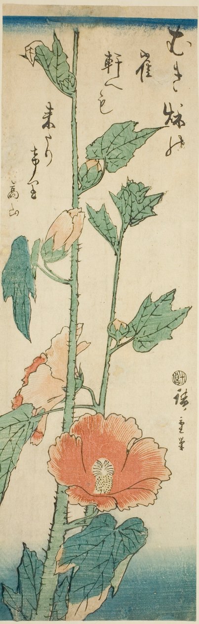 ハイビスカス 作： 歌川広重