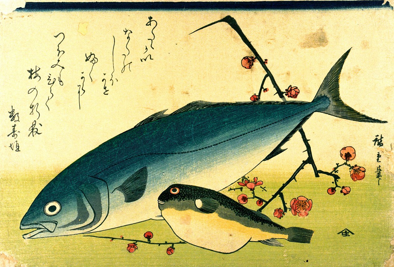広重 魚の群れ フグ ブリ 作： 歌川広重