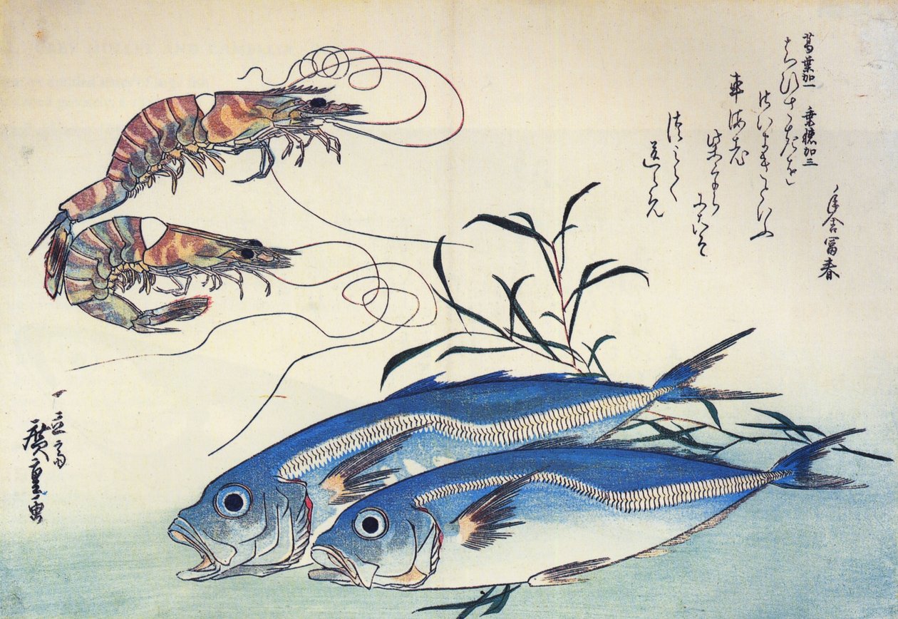 広重 アジとエビ 作： 歌川広重