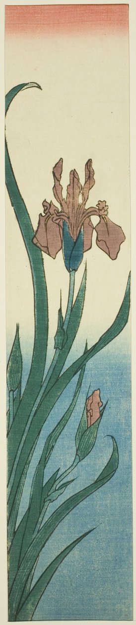虹彩 作： 歌川広重