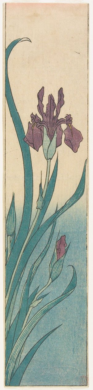 Iris 作： 歌川広重
