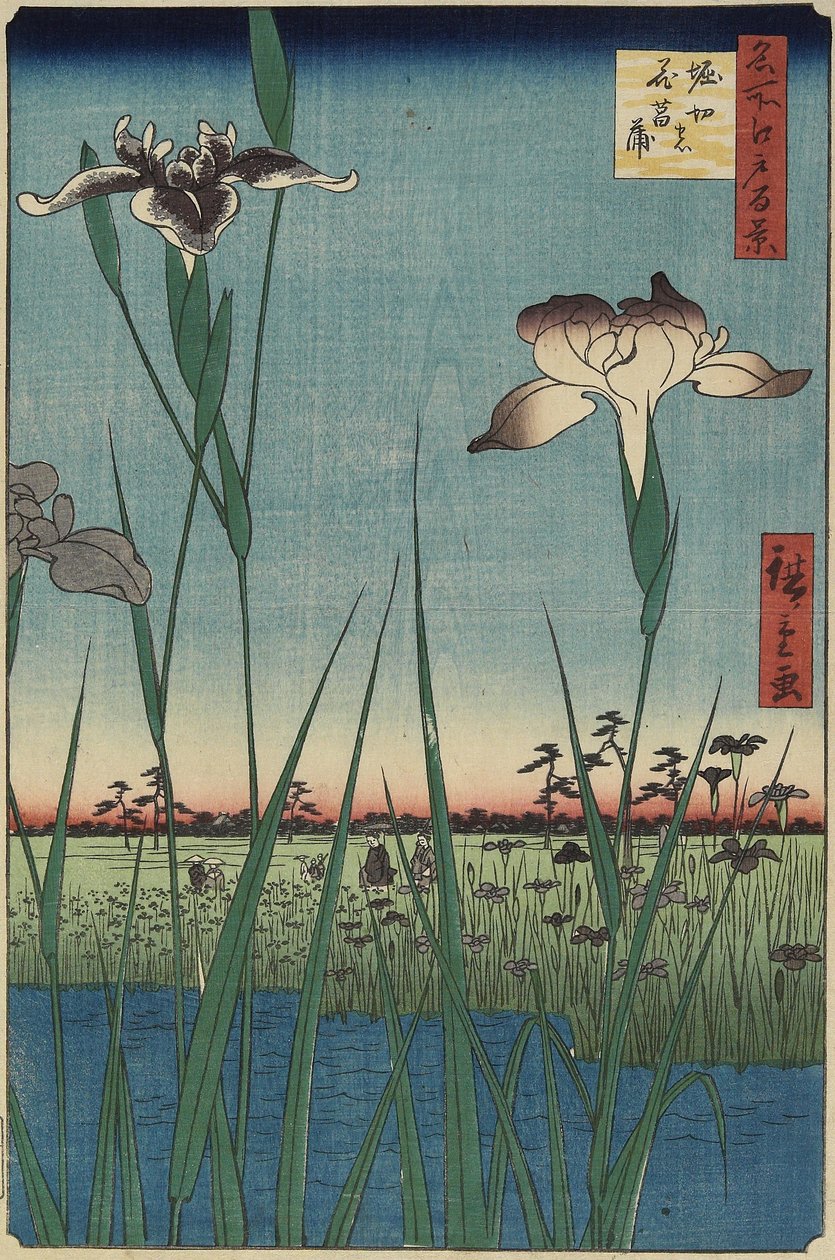 Iris Garden at Horikiri, May 1857 作： 歌川広重
