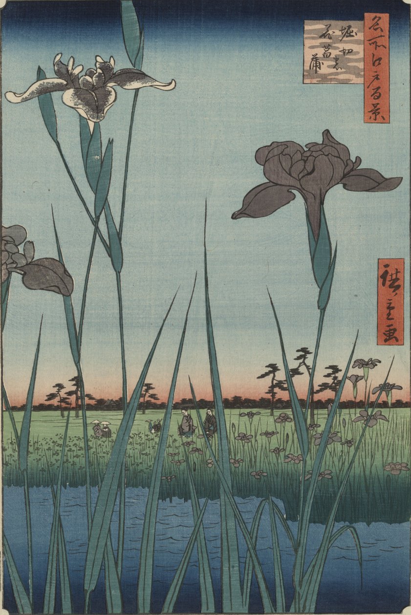 『江戸百景』シリーズより『堀切の菖蒲』 作： 歌川広重