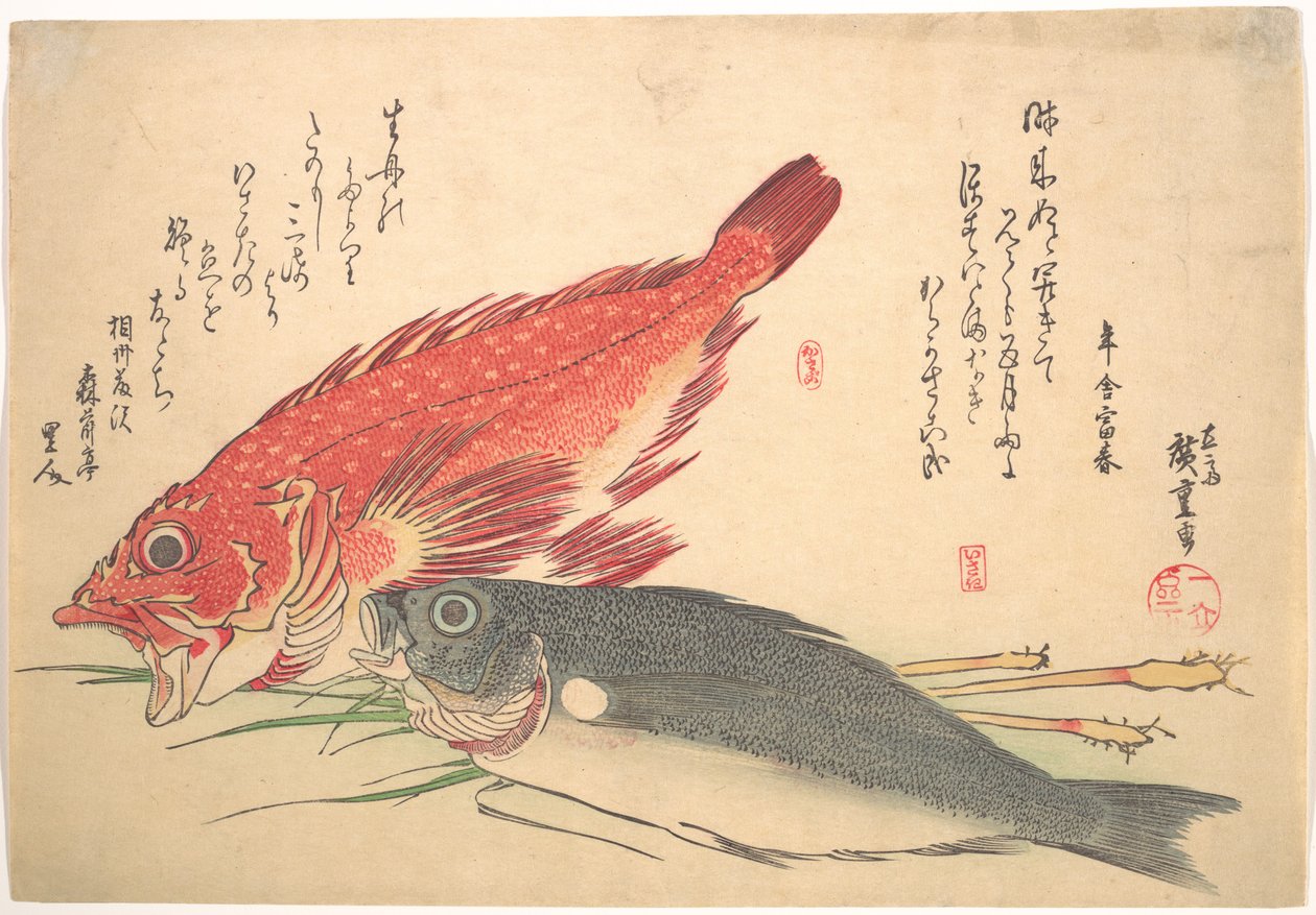 イサキとカサゴ、『魚尽』シリーズより（あらゆる種類の魚） 作： 歌川広重