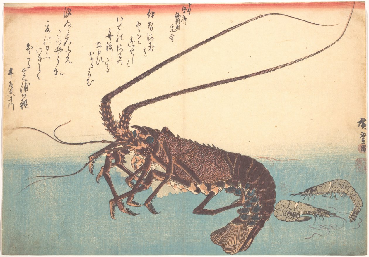 伊勢海老と芝海老、「魚尽」（あらゆる種類の魚）より 作： 歌川広重