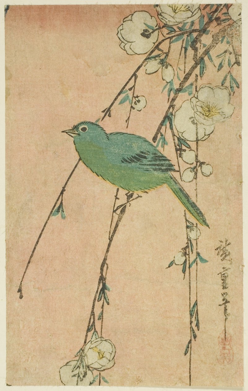 メジロとシダレザクラ 作： 歌川広重