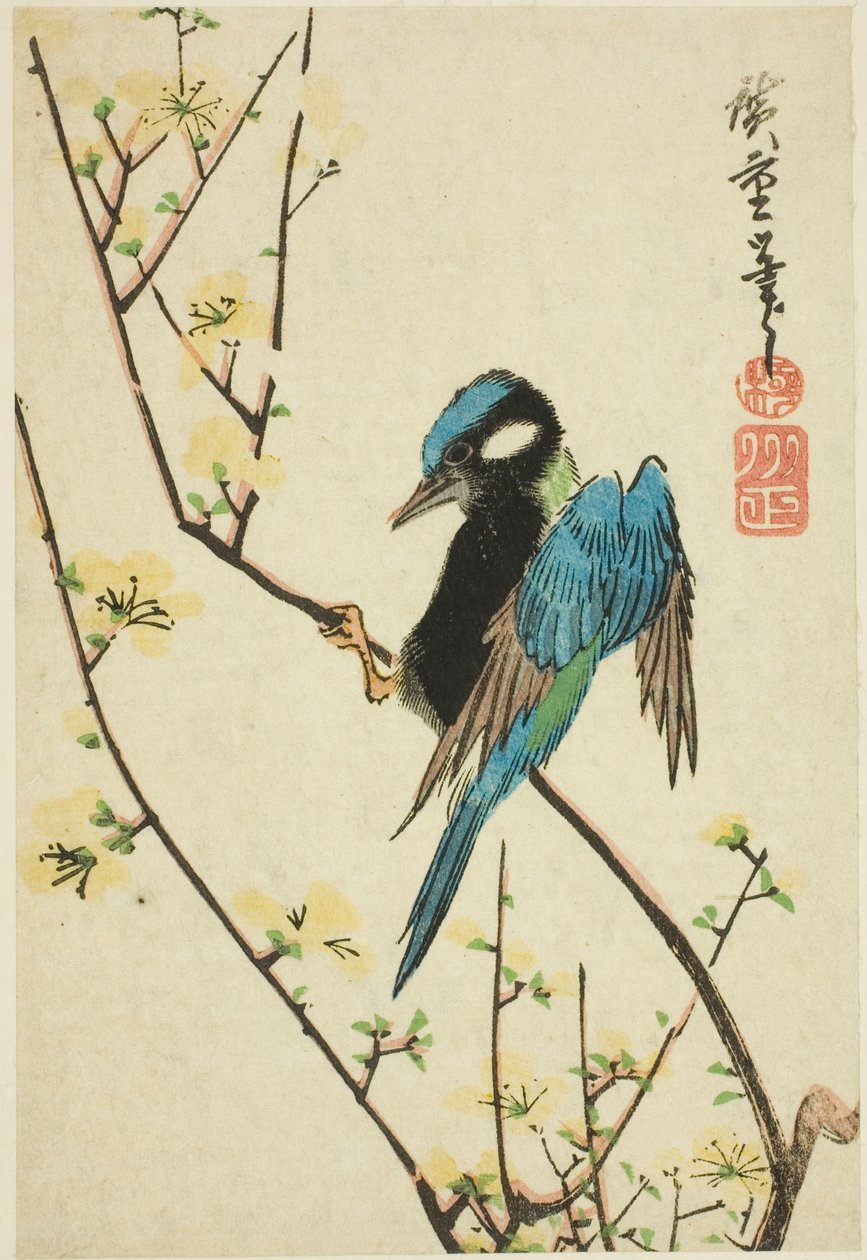 桜の枝に文鳥 作： 歌川広重