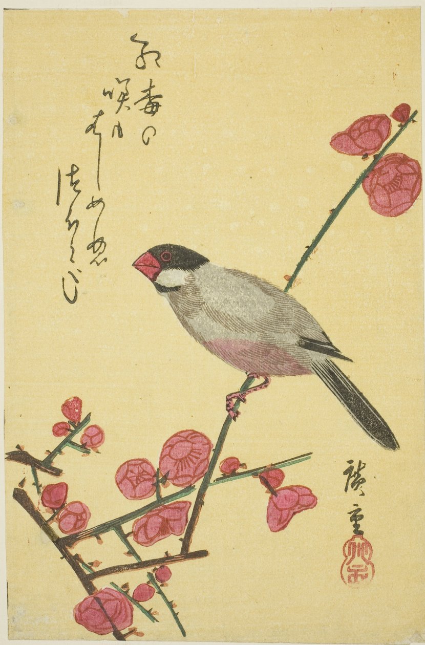 梅の枝に文鳥 作： 歌川広重