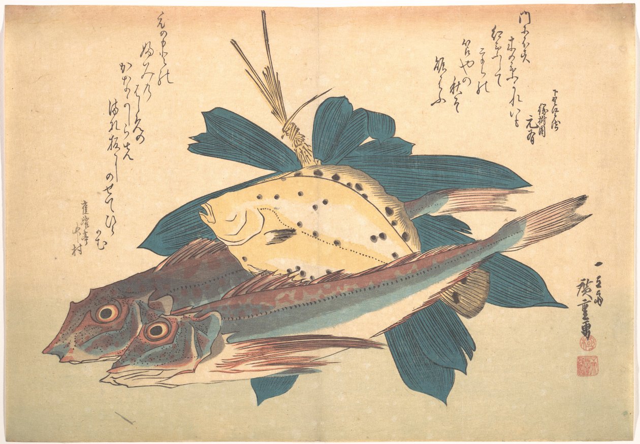 魚づくし（あらゆる種類の魚）より 金頭と鰈 作： 歌川広重