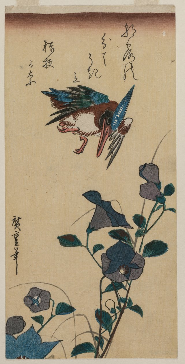 カワセミと桔梗 作： 歌川広重