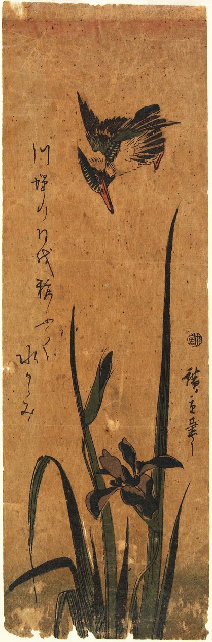 Eisvogel und Iris 作： 歌川広重