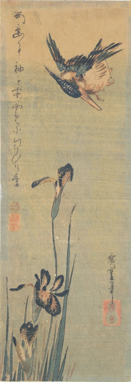 アイリスの上を飛ぶカワセミ 作： 歌川広重